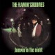 The Flamin' Groovies: Jumpin' In The Night