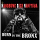 Handsome Dick Manitoba: Born In The Bronx