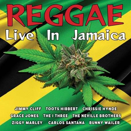 Reggae Live In Jamaica
