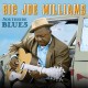 Big Joe WIliams: Southside Blues