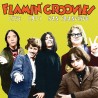 Flamin' Groovies Live, 1971, San Francisco