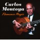 Carlos Montoya: Flamenco Music