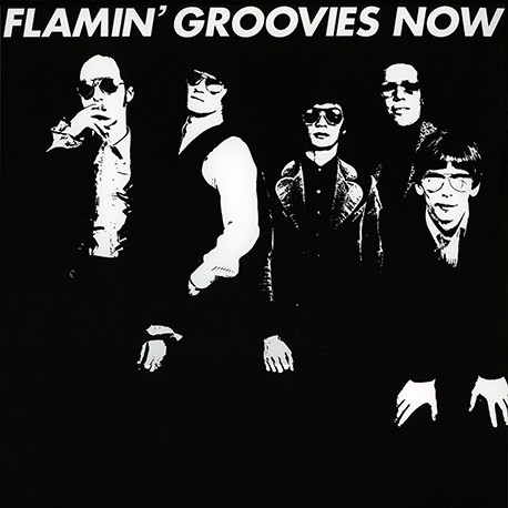 Flamin' Groovies: Now